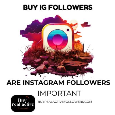 Are Instagram Followers Important